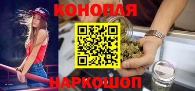 Альфа ПВП Моздок