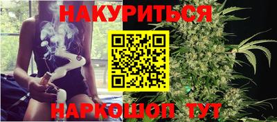 Альфа ПВП Моздок